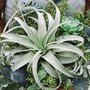 Meet your Posher, Celina